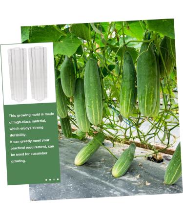 Milisten Garden Fruit Mould 2pcs Vegetable Shaping Mold Cucumbers Cucumber Shaping Mold Vegetable Shaper Mold Planting Supplies - Buy Online on GoSupps.com