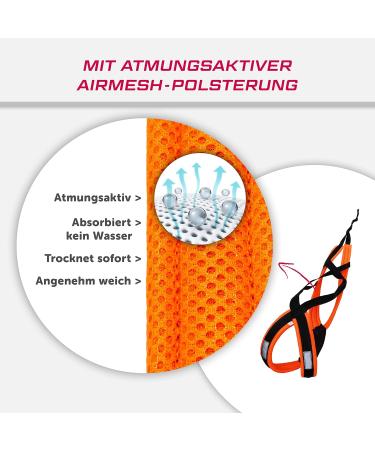 LASALINE X Back Dog Harness for Canicross Dogscooter & Bikejoring - Black & Neon Orange - Ideal for Active Dogs - Buy Online on GoSupps.com