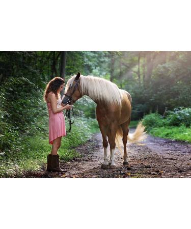 Premium Real Riding Crop with Gold Handle & Genuine Leather Bull Top | Equestrian Horse Crop - Buy Online on GoSupps.com
