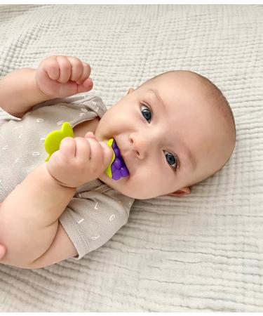 RaZbaby Infant & Baby Massager Teether Toy 3-Pack - Fruit-Shaped Multi-Texture Teethers | Soothes Sore Gums, BPA-Free Silicone, Hands-Free & Freezable | Safe for Babies 3M - Buy Online on GoSupps.com