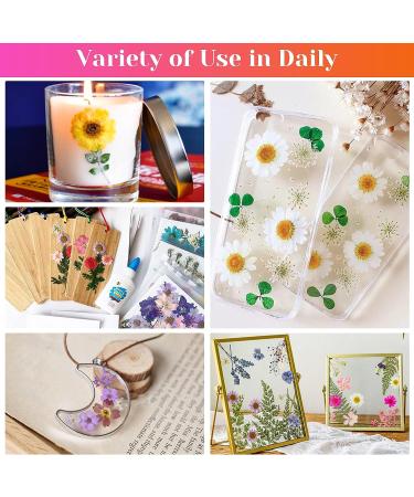 Real Dried Pressed Flowers for Resin - 150 Pcs Natural Dry Flowers & Leaves Kit for DIY Crafts - Scrapbooking, Jewelry Making, Candle & Soap Making Supplies - Buy Online on GoSupps.com