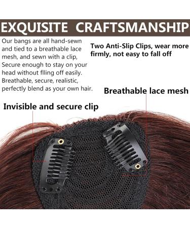 Bangs Hair Clip Bangs Hair for Women Synthetic French Bang with Temples Clip in Hair Extensions Thick Natural Full Bangs Straight Fringe Hairpieces for Daily Wear Hairpieces (Color : Light Brown) - Buy Online on GoSupps.com