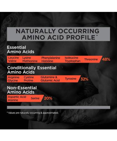 Rule 1 Proteins R1 Protein Isolate - 5lbs Lightly Salted Car - Buy Online on GoSupps.com