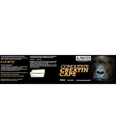 Buy Creapure Creatine Capsules - Vegan High-Dose 240 Caps - 750mg Pure Creatine Monohydrate from Alzchem Germany - International Shipping Available - Buy Online on GoSupps.com