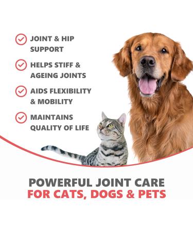 Purest Hip & Joint Supplement for Dogs - Natural Liquid Care with Turmeric for Mobility & Flexibility - Buy Online on GoSupps.com