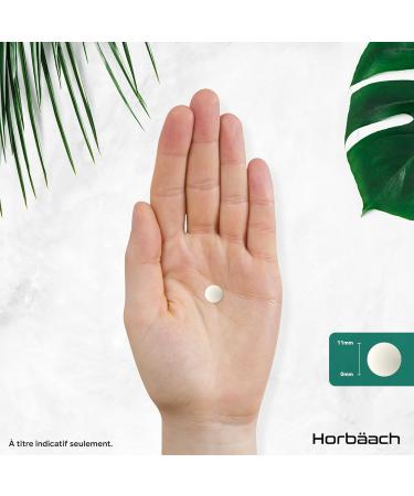 Biotique Oraux pour la Bouche | 60 Comprim s V gan Croquer | Saveur Menthe | Compl ment Alimentaire Mauvaisse Haleine | 6 milliards d'UFC | Oral Biotic Supplement | par Horbaach - Buy Online on GoSupps.com