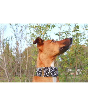 Buy candyPet Martingale Dog Collar - Model Music | 4 cm Width (30-40 cm Diameter) | International Shipping Available - Buy Online on GoSupps.com