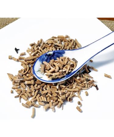 TCM Herbs USA ( ) Ban LAN Gen / Baphicacanthis Radix / Isatidis / Indigowoad Root - Small (8 oz)