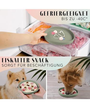 Ne & No Food Bowl for Small Dogs & Puppies - Silicone Camping Bowl for Dry & Wet Food - Water Bowl in Sage Green - Buy Online on GoSupps.com