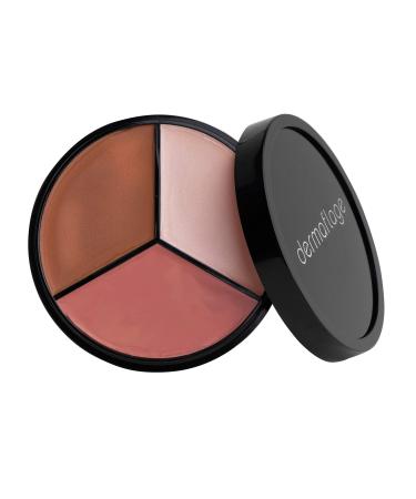 Cheek Palette: Bronzer  Highlighter  Blush Palette for Dewy Skin  Lit from Within by Dermaflage  10g/.35oz