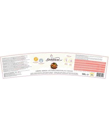 Hazelnut and Cocoa Cream Lactose Free Spreadable Cream Hazelnut and Cocoa Flavor Ready to Use - Pack of 500 g - Lactose Free - Gluten Free - Buy Online on GoSupps.com