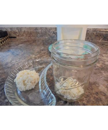Organic Raw Milk Kefir Grains - 1/4 Cup (4 tbsp) | Probiotic Cultures - Buy Online on GoSupps.com