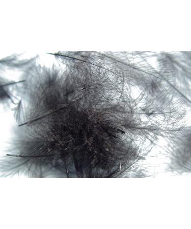 Pechetruite 1g - CDC (Cul de Canard) Feathers - BLACK - for fly tying