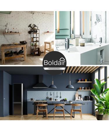  Boldair BOLDAIR - Apple and Aloe Hand Wash - Cleansing Moisturizing and Softening Formula - 500ml - Made in France - Buy Online on GoSupps.com