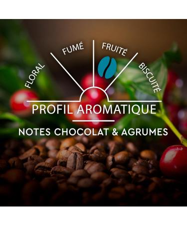 CARTE NOIRE - Classic Espresso Coffee Capsules No. 7 Compatible with Nespresso - Arabica Coffee - Pack of 4 x 60 Aluminum Capsules - Made in France - Buy Online on GoSupps.com