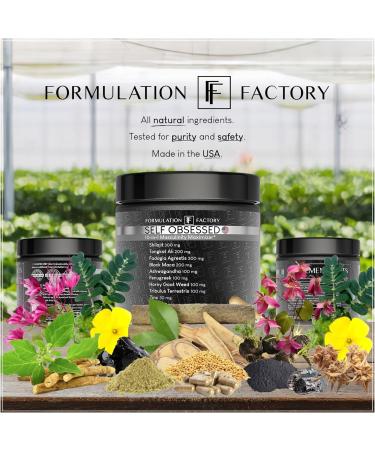 Formulation Factory Self Obsessed 10 in 1 Masculinity Maximizer Supplement Shilajit for Men Tongkat Ali Ashwaganda Fenugreek Muscle Growth Energy Drive Strength Recovery 4 Month (Pack of 2) Self Obsessed 240 Count (  - Buy Online on GoSupps.com