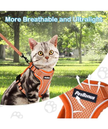 Petbonus Adjustable Cat Dishes & Harness Set - Breathable Soft Cat Bowls with Reflective Strips for Kittens - Small Size (Orange) - Buy Online on GoSupps.com