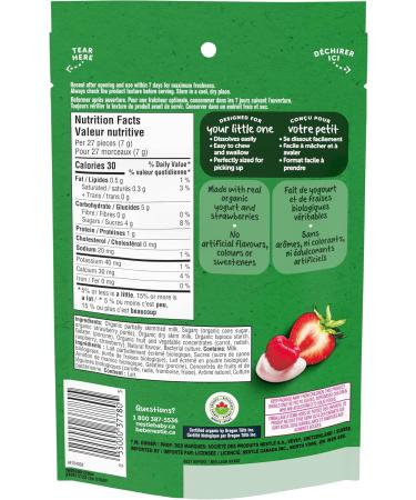 GERBER Organic Yogurt Melts Red Berry Toddler Snack 28 g - Buy Online on GoSupps.com