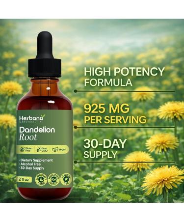 HERBANA MANUFACTURING Dandelion Root Liquid Extract 4 fl oz - Organic Taraxacum officinale Herbal Supplement - Alcohol-Free Drops for Daily Wellness Support - Family Size - 60-Day Supply - Buy Online on GoSupps.com