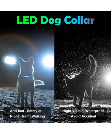 Shop Auauy LED Light Neck Band for Dogs & Cats - USB Charging Adjustable Waterproof Luminous | 3 Modes (Blue) Pet Security Collar - Buy Online on GoSupps.com