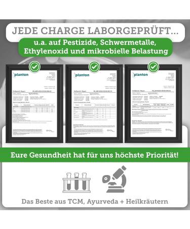 Qidosha Vegetable Iron Plus Vitamin C Capsules | 120 Vegan Capsules with Curry Blade Extract & Acerola Fruit Powder | Purely Plant-Based Iron Supplement - Buy Online on GoSupps.com