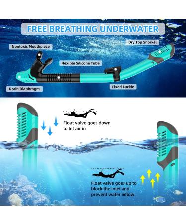 Zenoplige Snorkel Set - Adult Swim Goggles & Fins Kit for Snorkeling, Swimming, and Diving - Green/Black SM - Buy Online on GoSupps.com