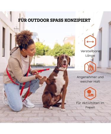 Vitazoo 3m Nylon Dog Leash - Adjustable Guide Lines with Carabiners for All Dog Sizes - Graphite & Red - Buy Online on GoSupps.com