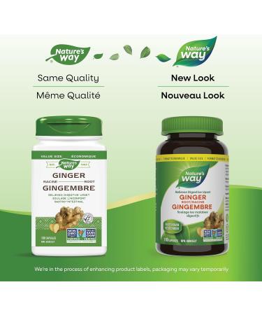 Nature's Way Dandelion Root - Digestion Supplement & Ginger Root Traditional Digestive Support Supplement - Buy Online on GoSupps.com