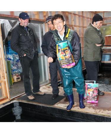 JBL 4124100 Autumn Koi Thin Skin for Wafer Season Lining Autumn Propond Size M 1500 g - Buy Online on GoSupps.com