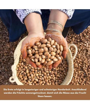 Organic Cold Pressed Argan Oil / Natural Cosmetics / 100% Pure / For Hair Skin & Nails / Liquid Gold from Morocco / 100 ml in a Light-Protected Brown Glass Bottle / Moisturizing Care - Buy Online on GoSupps.com