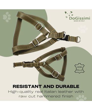 Dogissimi Leather Dog Harness | Adjustable Ergonomic Dog Harness for Small & Medium Dogs | Handmade in Italy | Military Style (M) 41-51 cm - Buy Online on GoSupps.com