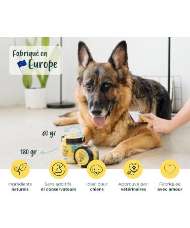 Wolf Belly - 100% Natural Anti-Itch Probiotic for Dogs (60 g) Soothes Atopic Dermatitis and Eczema Brewer's Yeast Powder Rich in Omega 3 and Vitamin B Healthy Skin - Made in Europe - Buy Online on GoSupps.com