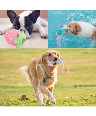 Vipnaji Puppy Toys - 15PCS Long-Lived Plush & Rope Toys for Small & Medium Dogs | Non-Toxic & Safe Cotton Wool | Perfect for Puppies - Buy Online on GoSupps.com