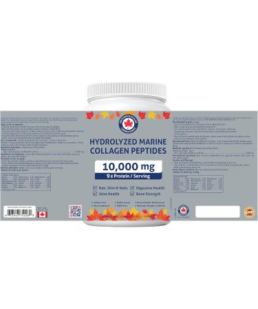 Orthomolecular Laboratories - Hydrolyzed Marine Collagen Peptides Powder 10000mg 600g - Vitamins for Bone Strength Digestive Health Joint Health Hair Skin & Nail Vitamins - Collagen Protein Powder Unflavored 600g (Pack of 1) - Buy Online on GoSupps.com