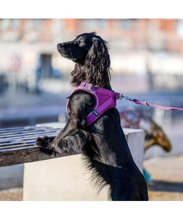 DOG Copenhagen Comfort Walk Go Dog Harness - Hunting Green Size S | International Shipping Available - Buy Online on GoSupps.com