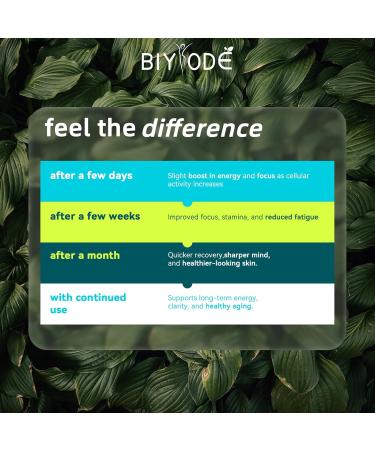 NAD Supplement with Liposomal Resveratrol 900mg NAD Booster with Quercetin Phytosome for Energy Focus & Healthy Aging Cellular Support for Adults 30+ 80 Capsules 40-Day Supply - Buy Online on GoSupps.com