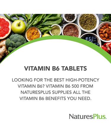 NaturesPlus Vitamin B6 Sustained Release 500mg - 90 Vegetarian Tablets | Energy & Mood Support | Gluten-Free - Buy Online on GoSupps.com