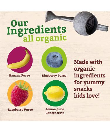 Pumpkin Tree Peter Rabbit Organics Super Oats & Seeds Puree Squeeze Pouch - Banana Raspberry Blueberry 4oz (Pack of 10) - Buy Online on GoSupps.com