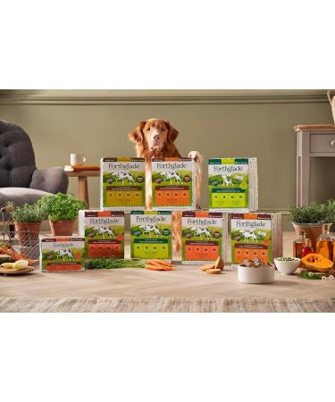 Forthglade Wet Dog Food (Mixed Pack 6 x 395g) - Grain Free Food with Beef Turkey or Chicken and Vegetables for Adult Dogs 1 Year and Older - Hypoallergenic Food - Buy Online on GoSupps.com