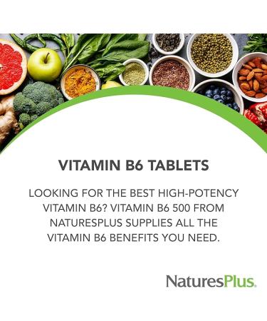 NaturesPlus Vitamin B6 (Pyridoxine HCI) 100mg - 90 Vegetarian Tablets | Energy & Metabolism Booster | Hair Skin & Nails | Memory  Mood & Immune Support | Gluten-Free - Buy Online on GoSupps.com