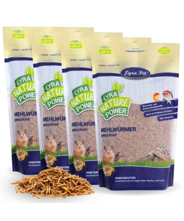 Lyra PET |4 kg of mealworms dried |Proteinative bird feed |For wild birds rodents reptiles & fish |Nutritious feed |Energy dispenser for insect eaters |Vitamins & minerals
