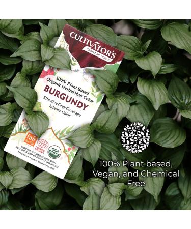 Cultivator's Organic Herbal Hair Colour - Burgundy 100g - Buy Online on GoSupps.com