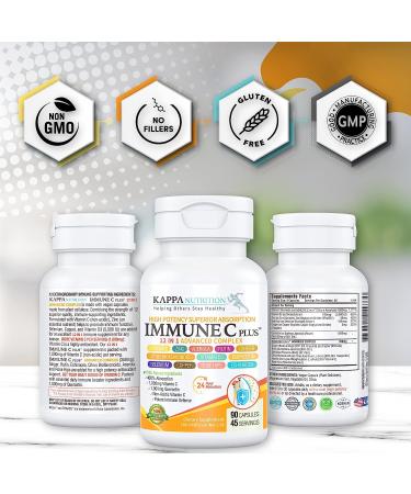 Immune Support Supplement with Quercetin, Vitamin C, Zinc, Vitamin D3 and More - 150 Capsules - Buy Online on GoSupps.com