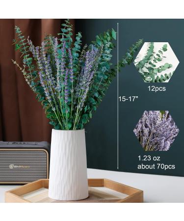 80 Pcs Mix Dried Eucalyptus & Lavender Flower Bundles for Shower - 100% Natural | Fresh Eucalyptus Leaves Stems | Hanging Shower Plant, Home Spa Decor - Buy Online on GoSupps.com