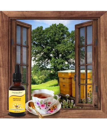 Propolis Tincture 40% - 50 ml Pure High-Dose Extract | 100% Natural Propolis Drops with Pipette | Natimavita - Buy Online on GoSupps.com