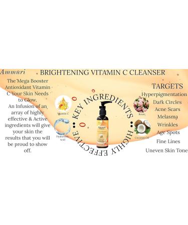 Vitamin C Cleanser for Face with Hyaluronic Acid Cleansing Facial Wash Cleanser Powerful Antioxidant Reduce Dark Spots & Skin Brightening Fine Lines & Wrinkles Face Cleanser for Acne Prone Skin - Buy Online on GoSupps.com