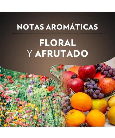 Lavazza Classic Italian Espresso Natural Bean Coffee Ideal for Espresso Machine with Floral Aromatic Notes 100% Arabic  - Buy Online on GoSupps.com