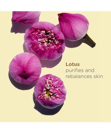 Clarins Lotus Face Oil Treatment | Hydrates Tones and Balances Skin | Visibly Tightens Pores | Minimizes Fine Lines |Skin Is Immediately Velvety*|100% Natural Plant Extracts |Oily To Combination Skin - Buy Online on GoSupps.com