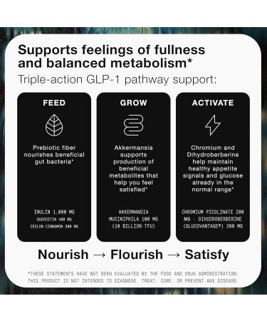 GLP-CORE - GLP-1 Supplement for Women and Men GLP1 Support with GlucoVantage 200 mg Dihydroberberine 10 B TFU Heat-Stable Akkermansia 1 g Inulin 30 Servings 120 Count (Pack of 1) - Buy Online on GoSupps.com