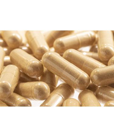 Wormwood & Artemisinin Intestinal Cleanse Supplement for Immune Strength & Energy - Buy Online on GoSupps.com